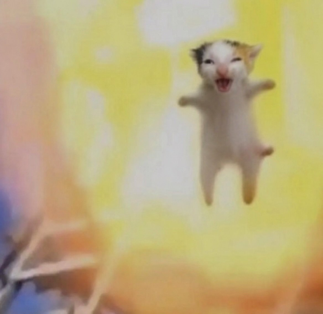 Explosion Cat